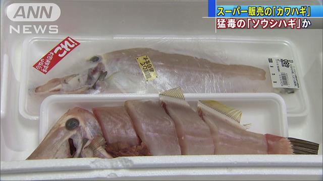 ライブドアニュース 5000rt 死に至る可能性も 三重のスーパー 猛毒魚 ソウシハギ をカワハギとして販売か T Co Lf60k0fkqe 販売した2匹のうち1匹の販売先が不明といい 県は 見つけたら店まで連絡してほしい と呼びかけている T ライブドアニュース 5000rt 死に至る可能性も 三重のスーパー 猛毒魚 ソウシハギ をカワハギとして販売か T Co Lf60k0fkqe 販売した2匹のうち1匹の販売先が不明といい 県は 見つけたら店まで連絡してほしい と呼びかけている T