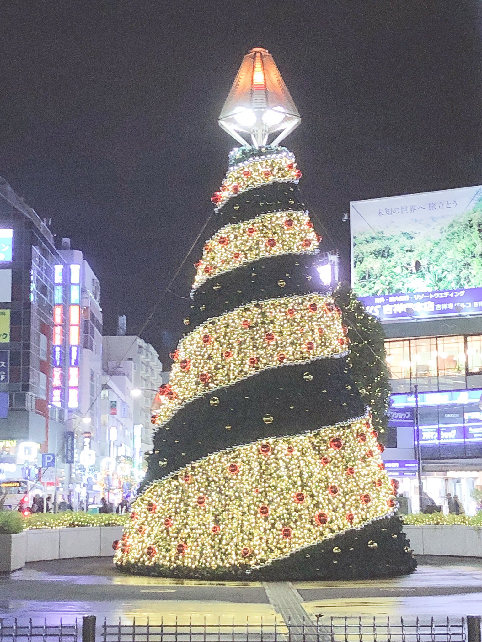 تويتر ドイツの黒い薔薇 على تويتر 今日は吉祥寺でバッシュを買った そしてタピオカを飲んで巨大なクリスマスツリーを見た T Co 5hxtdxzate