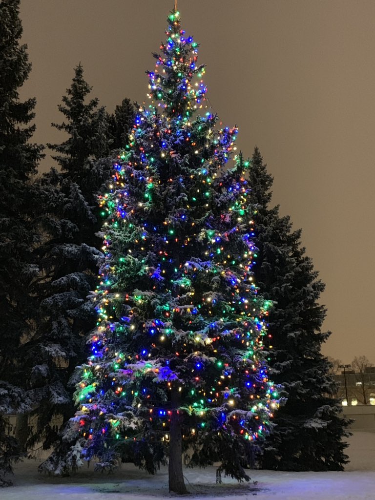 MarcyBrush's tweet photo. Sometimes a quick #walk in the #park can start your morning off right. Love the #blanket of #snow and the #decorated #tree. #IslandPark #Fargo #FargoParks #holidaylights #DowntownFargo #ILoveHolidays #takeawalk #enjoyapark https://t.co/IGbmjQ3mkW