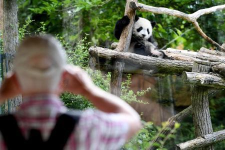 Reservit_France's tweet photo. Bravo à notre client @zoobeauval et ses 100.000 visiteurs de plus en 2018 https://t.co/xVa6oUoIXE https://t.co/CC30eHfoDi