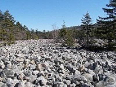 POCONOREAGENT's tweet photo. Enjoy the solitude of nature in the Poconos with one of these many scenic locations open to all!
https://t.co/vJaZhtPXPa
#Boulderfield #Austintblakesleenaturalarea #hickoryrunstatepark #Promisedlandstatepark #bigboulderstatepark #pmlrealty https://t.co/GzHOmgAz01