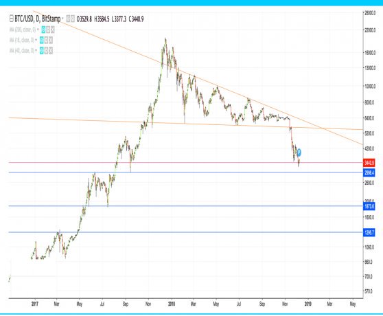 Bitcoin Tuit tweet media