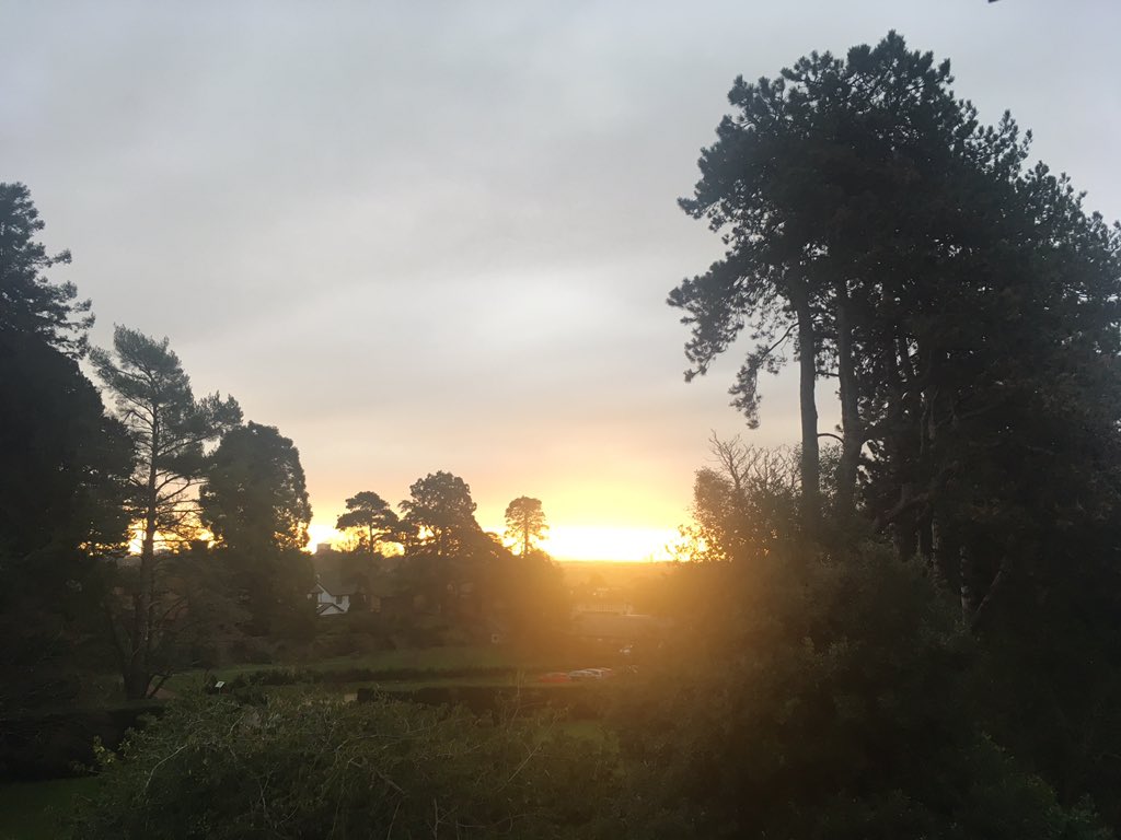 ElizAthertonSop's tweet photo. “The birds have flown their summer skies to the south,
And the flower-money is drying in the banks of bent grass
Which the bumble bee has abandoned. We wait for a winter lion,
Body of ice-crystals and sombrero of dead leaves.”
#ThomasMcGrath
@makinggardens https://t.co/L49ucHEWnQ