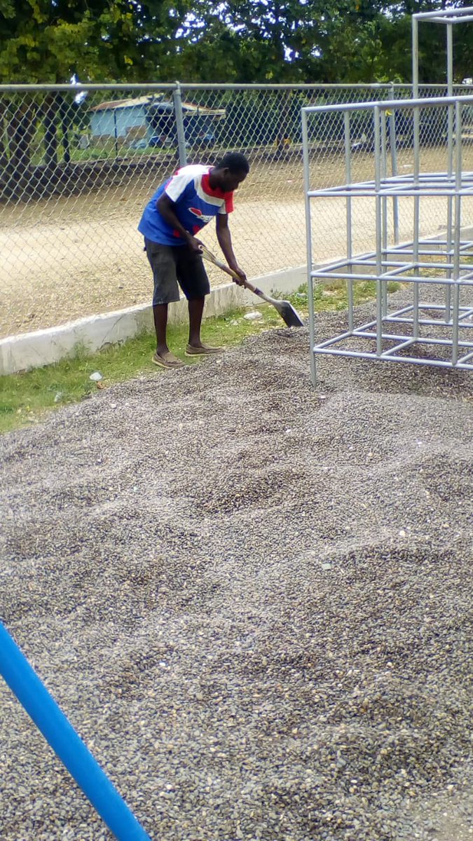 Merlianna1's tweet photo. Certification now in sight at Hastings infant in Trelawny. 
#12StandardsMatter @annie_porter1 https://t.co/FCZpbfWh61