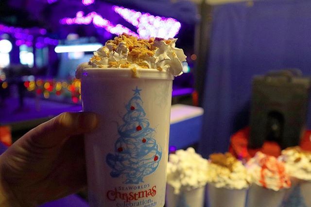 TheBrookharts's tweet image. We are all about the flavored hot chocolate at SeaWorld Orlando! What topping would you choose? #seaworldorlando #hotchocolate #themeparkfood #christmastreats #dailyvlog