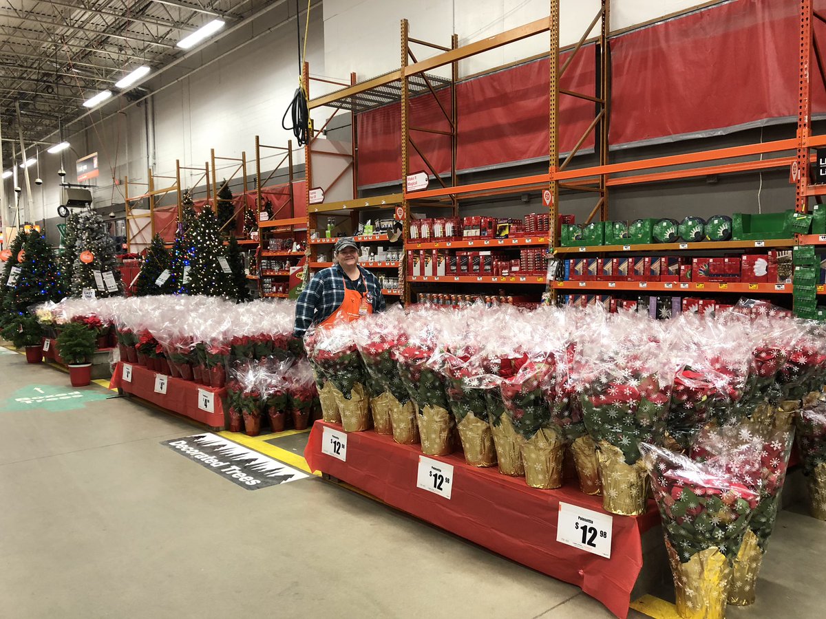 Amazing display of poinsettias setup at the Harper Woods Home Depot #2718.  Well Done Casey!  D28 Associate. #HomeDepot 👍🤗👏😃 @XKerrigan <a href="/HWHD2718/">Harper Woods HD2718</a> <a href="/KSorgani/">KatieSorgani</a> @steegden2413 <a href="/rob_westhouse/">Rob Westhouse</a>
