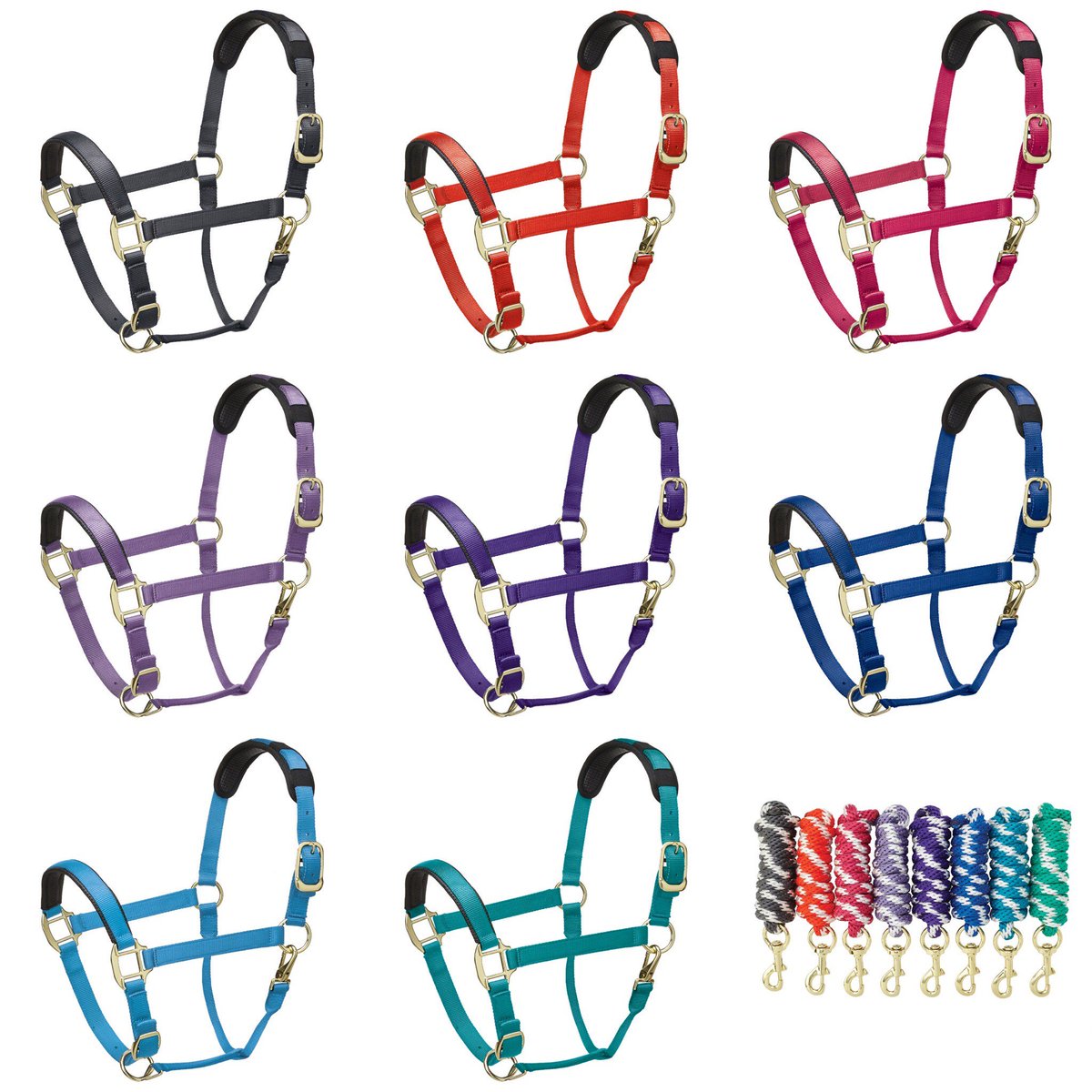 LegacyJods's tweet photo. Just think 'Legacy' when trying to find the perfect present for the horse lover in your life! Many items match to make lovely gifts sets, just ask for Legacy at your local equestrian shop! #overreachboots #brushingboots #headcollars #leadropes #jodhpurs #breeches #equestrian https://t.co/nVgdoBlyRK