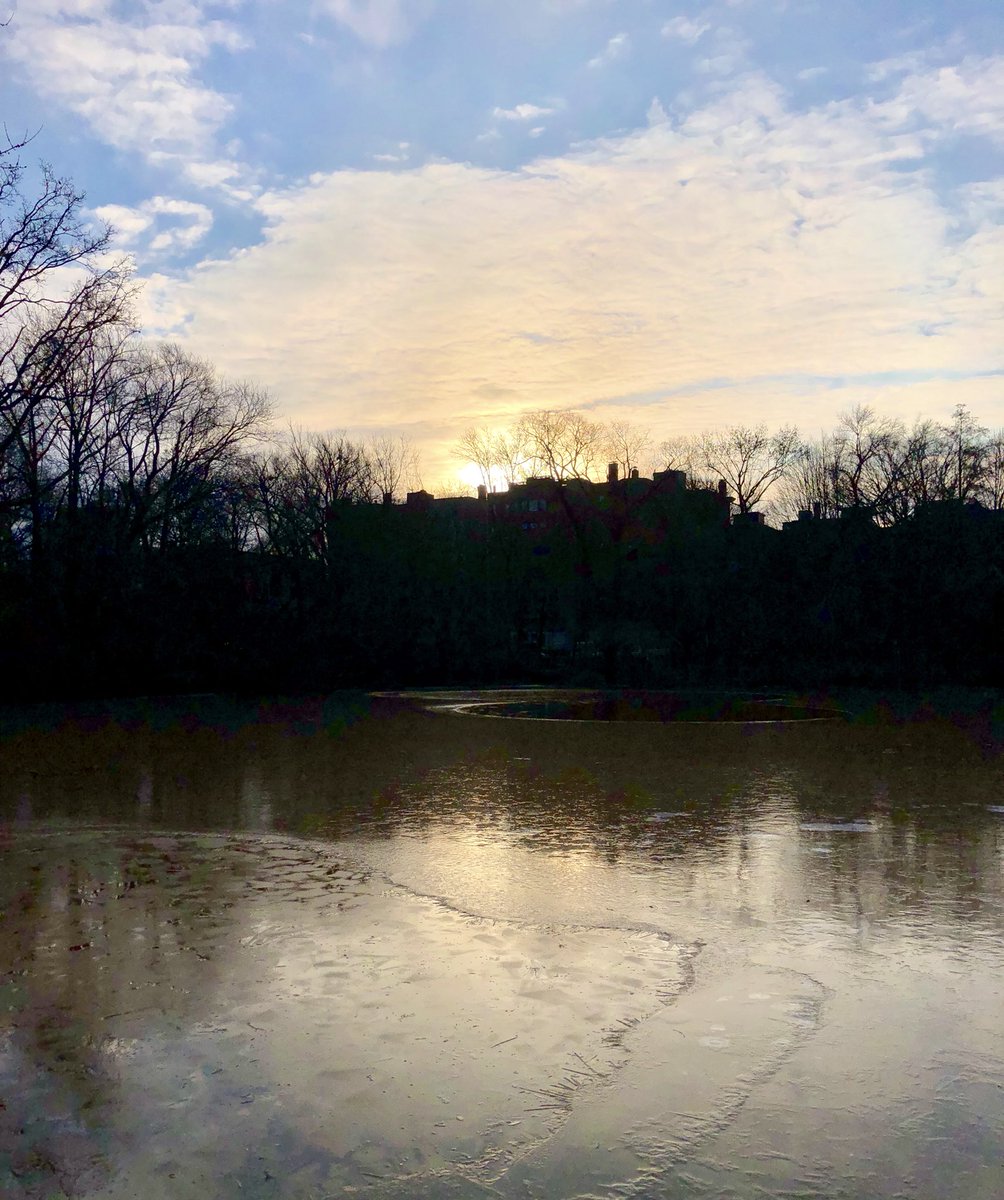 Emjay1028's tweet photo. Halfway through the work week, the sun is shining &amp; I’m really happy to be home for once. 🙌🏻☀️ #ViewFromMorningRun #Boston #Brookline #MJRunsOnSunshine #AndDunks https://t.co/f3XTHvUsVt
