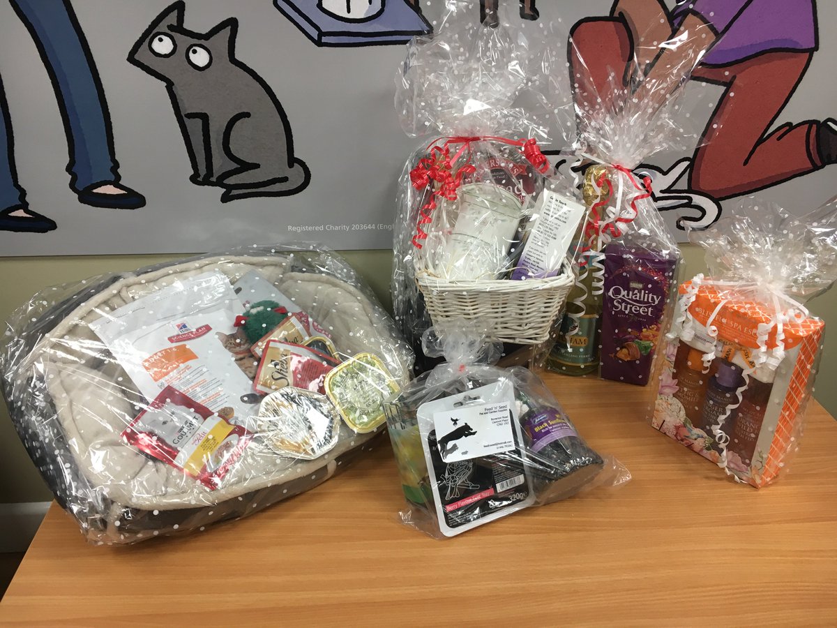 Cat Protection Cardiff Homing Information Centre On Twitter