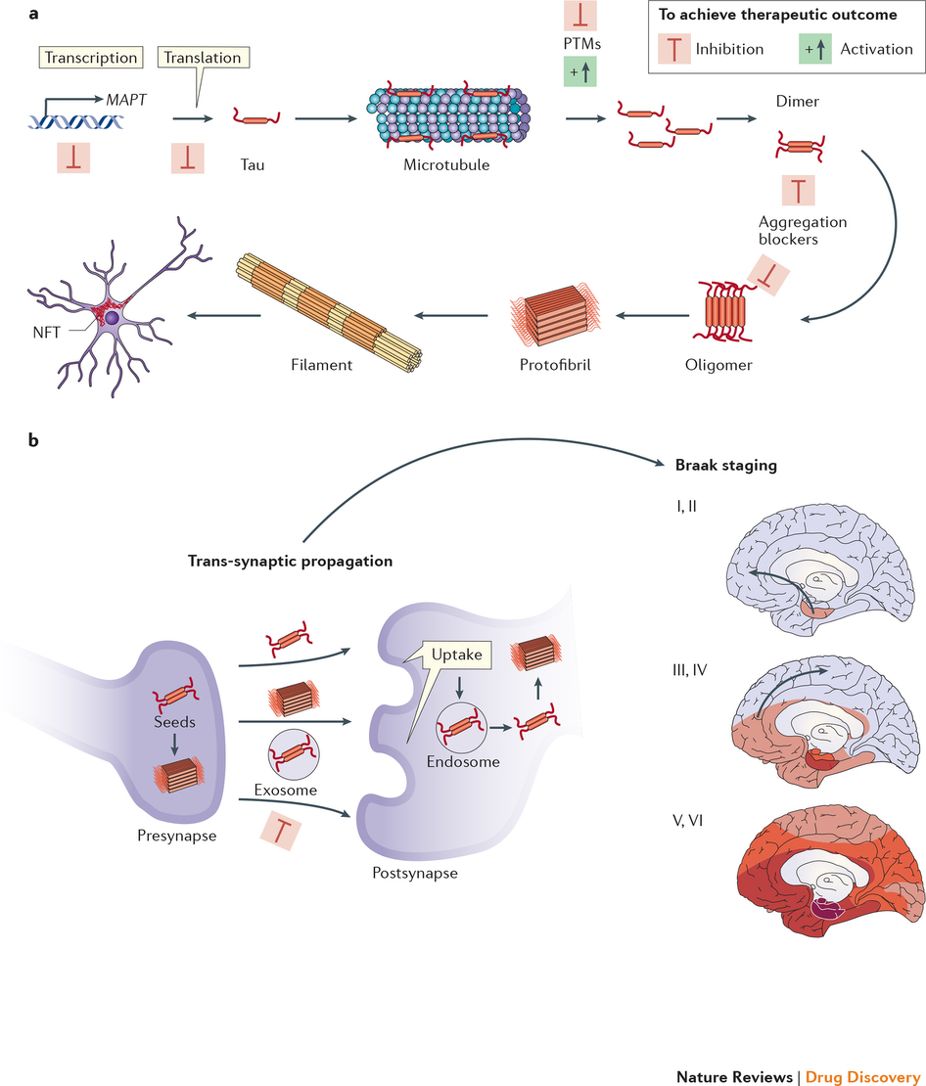 Nature Rev Drug Disc on Twitter: "As some background to ...