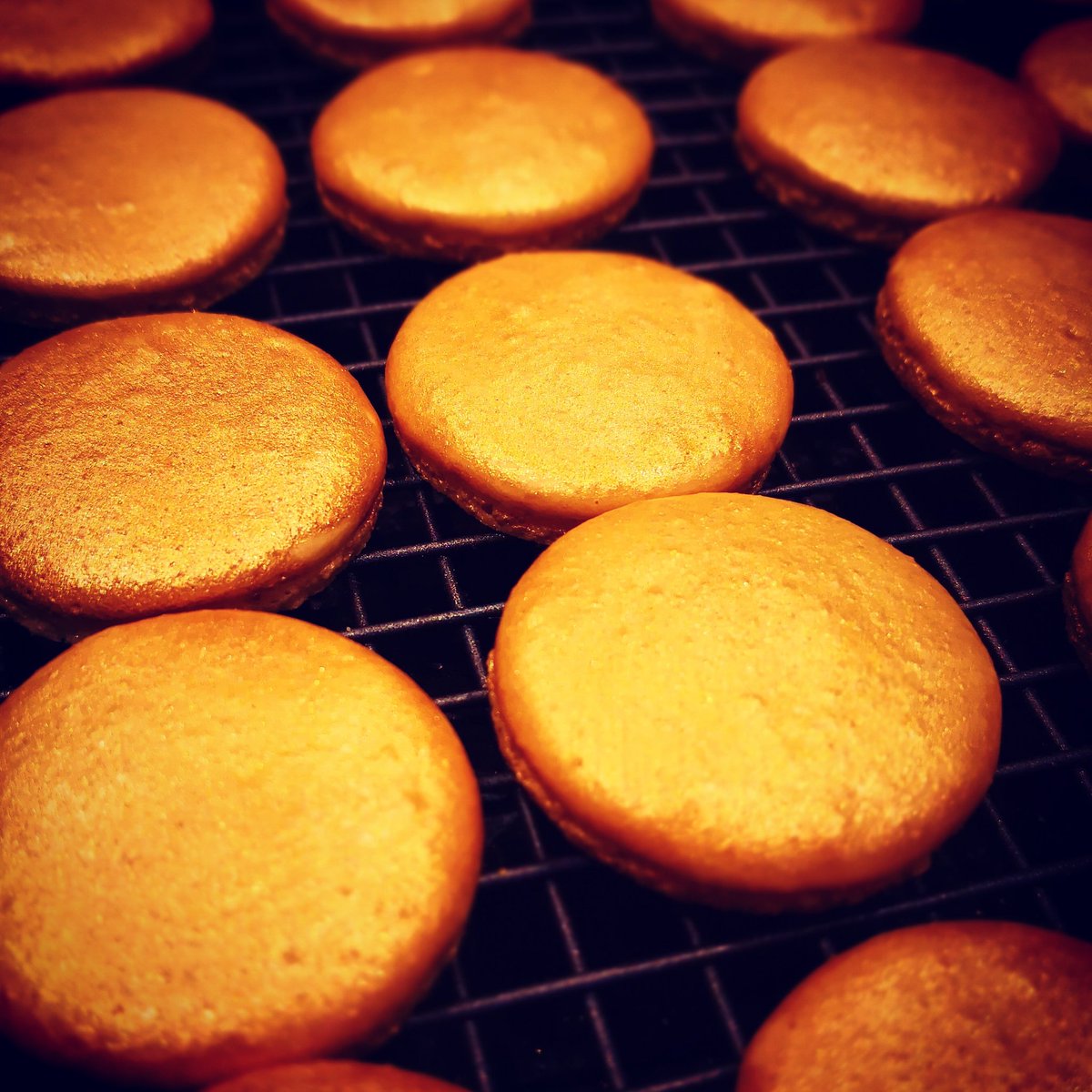 QueenBeesTea's tweet photo. More #gold macaron shells drying. They look so rich and decadent!
#macarons #shiny #rich #decadent #glutenfree #food #foodbling #bling #queenbeesmacarons https://t.co/e2owwejMx2