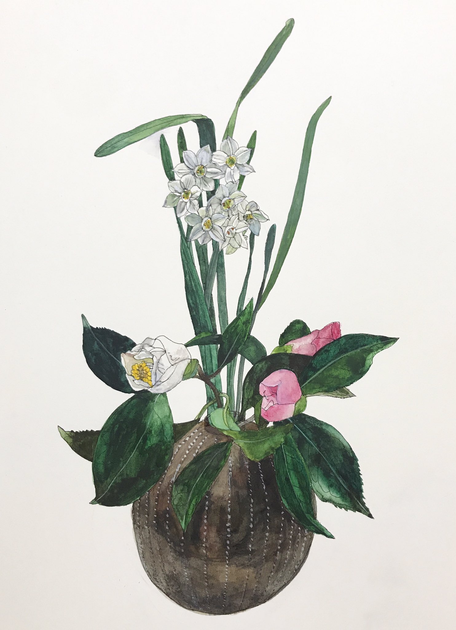 あっこてん 義理のお母さんからいただいた花 日本の冬って感じがする 花 水仙 椿 水彩 ペン画 生け花 イラスト 絵 アート 花の絵 Watercolor Flower Painting Art Artist Fineart T Co Br4ydlhcvq Twitter あっこてん 義理のお母さんからいただいた花 日本の冬って感じがする 花 水仙 椿 水彩 ペン画 生け花 イラスト 絵 アート 花の絵 Watercolor Flower Painting Art Artist Fineart T Co Br4ydlhcvq Twitter