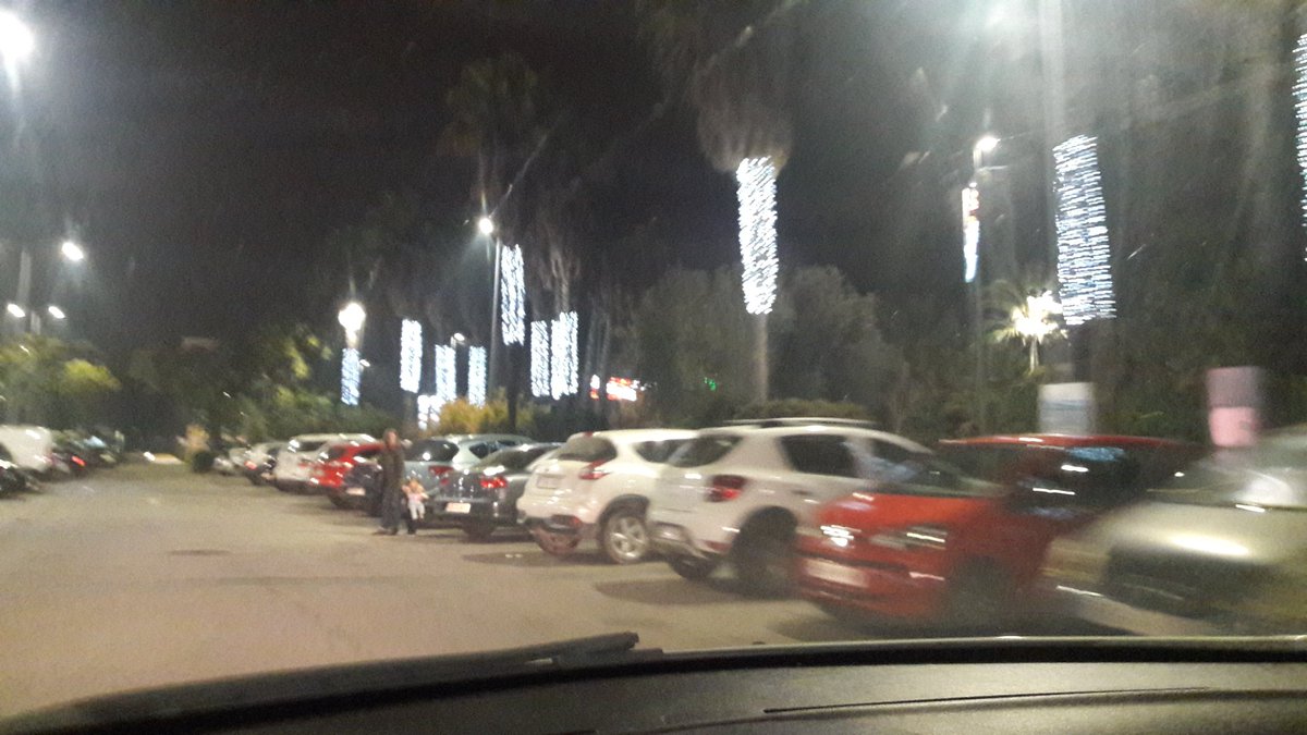 ¿Un año más las Palmeras celebrarán la Navidad sin poda en #Espartinas?