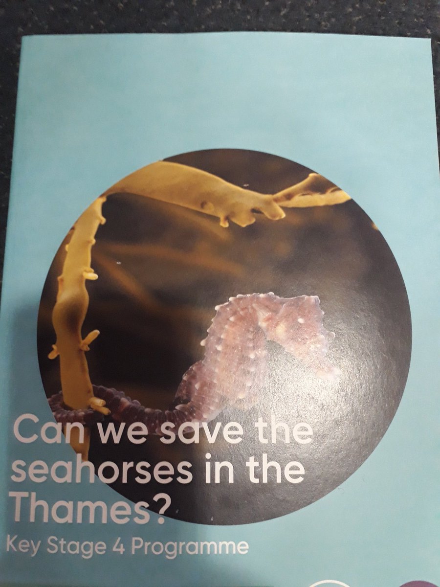 NIoT_ESL_ITE's tweet photo. Some fascinating discussions are taking place with @HarrisGarrard students @KingsCollegeLon @RISchools #UniPathways event. #PhD #STEM #everylessonshapesalife #WednesdayMotivation https://t.co/1qmJv8dw0P