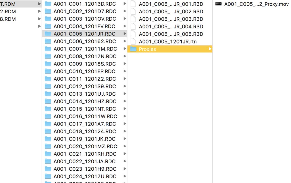 You would think after so many years RED's would learn how to have a better file system... WTF is this?