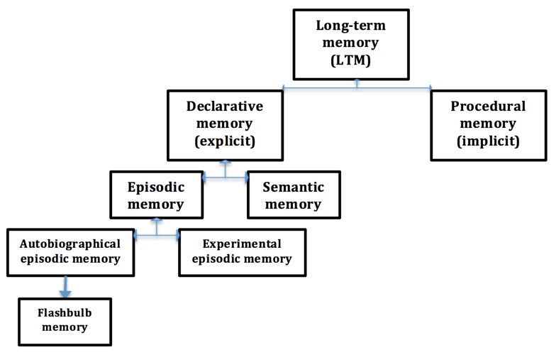 aqa_level's tweet photo. LTM includes any memories that held for durations upwards of 30 seconds+ 

LTM can also be split into declarative memories and procedural memories.

Declarative memory can be further sub-categorised into episodic and semantic memories https://t.co/dxY2b6i15F