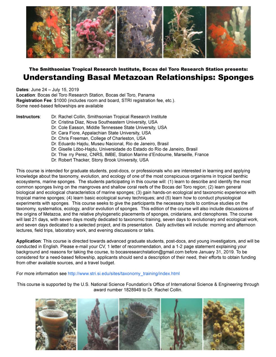 Bob Thacker tweet media