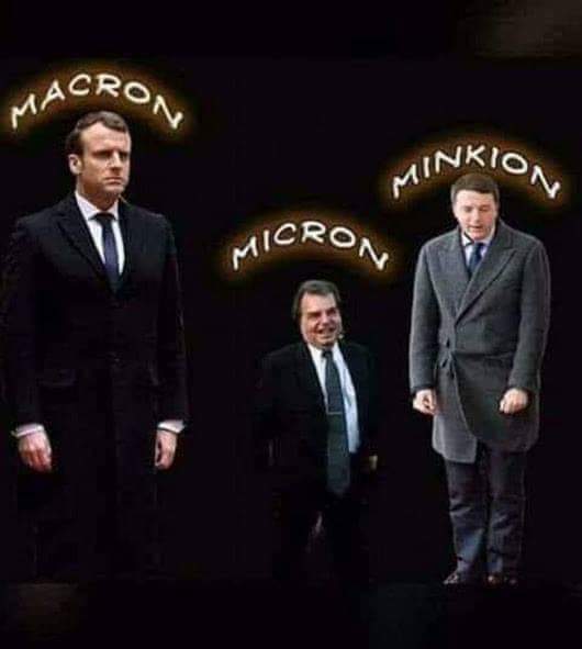 AngeloPicca3's tweet image. 