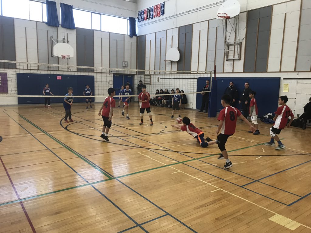 TDESAA_TDSB's tweet photo. Grade 5/6 North volleyball finals taking place today at @StAndrewsJHS. Good luck to all participating schools. @McKeeSchool @johnwanless @Cassandra_PS @DenlowPS #ArborGlen #Hollywood https://t.co/cDL0USJPXd