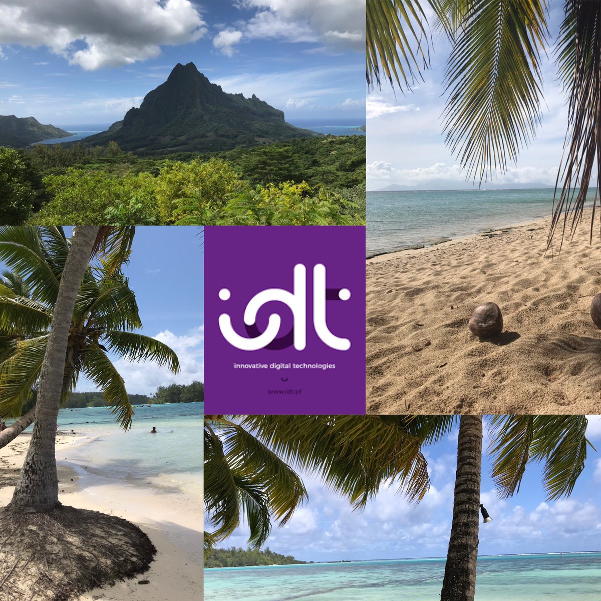 olrondeau's tweet image. #sagebireporting débarque à #Tahiti avec son partenaire Innovative Digital Technologies. Merci @OlivierKressman et son équipe pour leur accueil @SageFrance