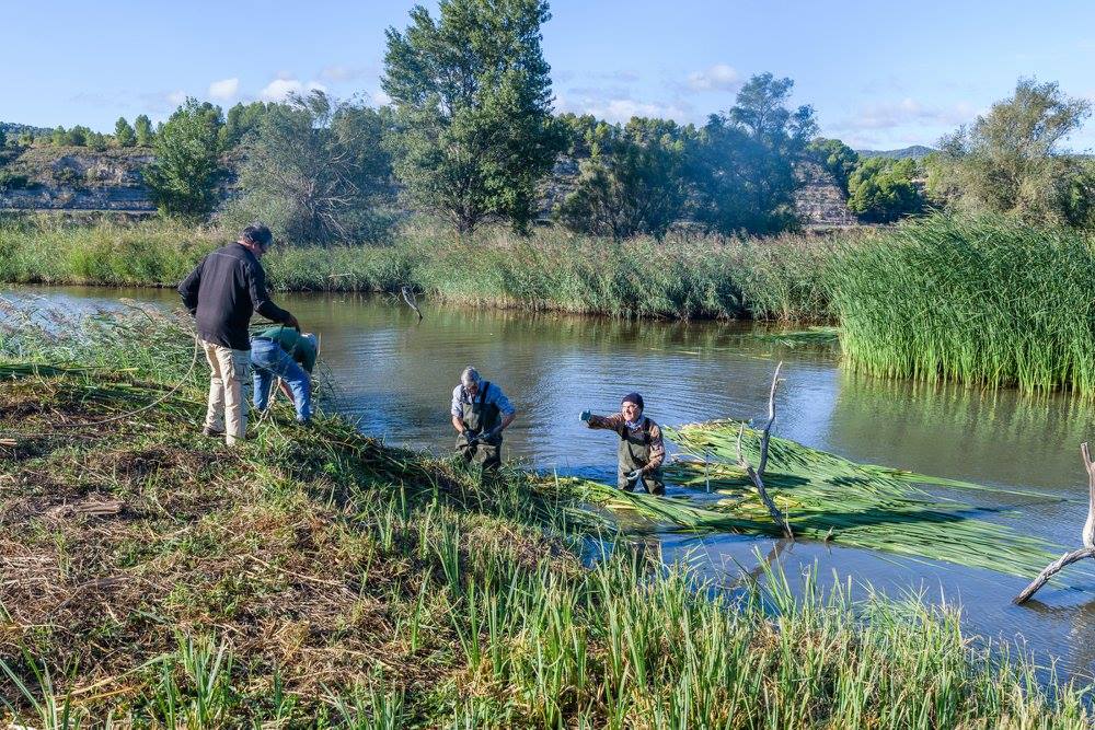 Ja podeu presentar els vostres projectes a la 2a edició del Premi Girbau Natura i Societat. Reconeix iniciatives locals i ciutadanes que contribueixen a conservar el nostre patrimoni natural.

📢Dotat amb 12.000€

📆Data límit : 31/01/19

+ info a: bit.ly/2jk8HU5
