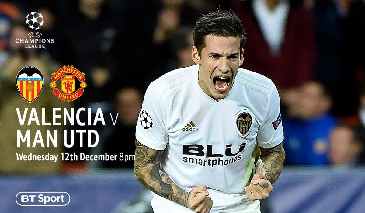 Fox & Flowerpot tweet media