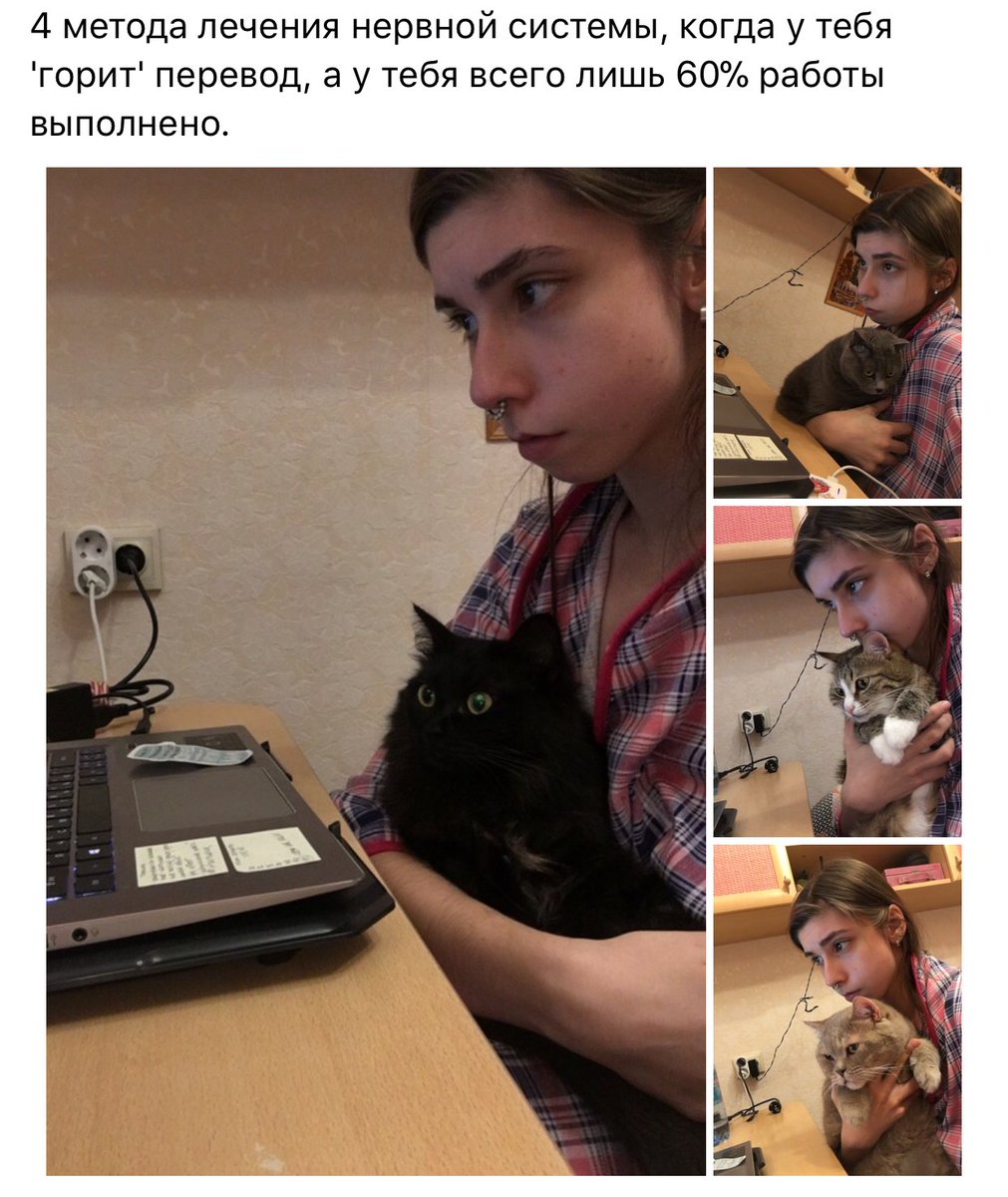 mayyaashiku's tweet photo. Окей. А если у меня 0% , то что делать? Закопаться в этих 4х методах и умереть от алле��гии?😅 https://t.co/VbquVpy1Wx