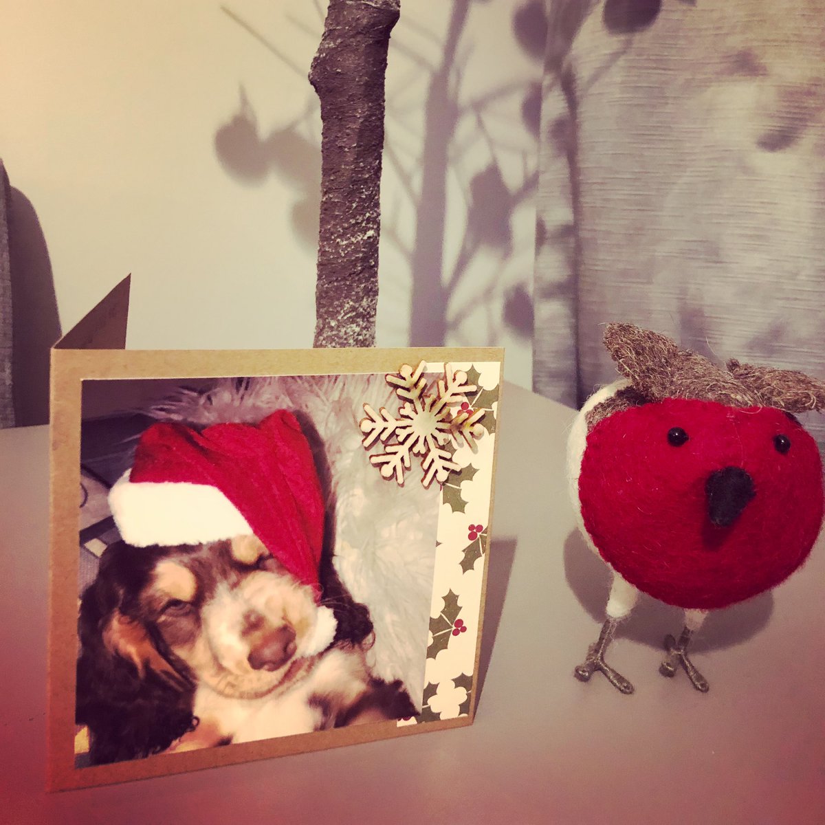 dust_fairies's tweet photo. Can a Christmas card get any cuter! Gorgeous Mickey one of our lovely customers xxx https://t.co/7FFLmeqSRp