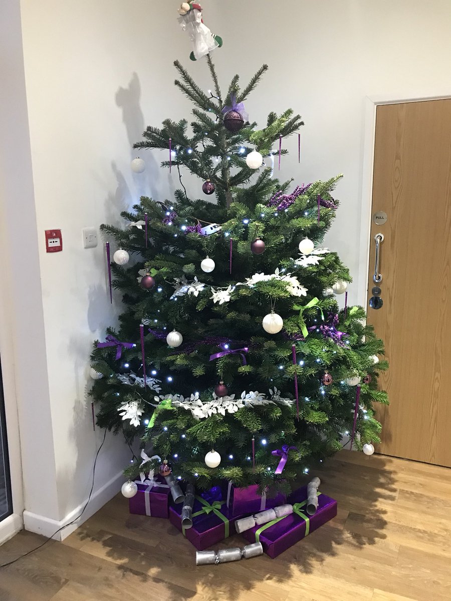 MediafleetLtd's tweet photo. Getting into the festive spirit with the Christmas tree up in our office 🎄 #christmas #christmastree #christmasholidays #festive #mediafleet #vehiclebranding #vinylwrap #vehiclewraps https://t.co/PcBYUTfSqQ