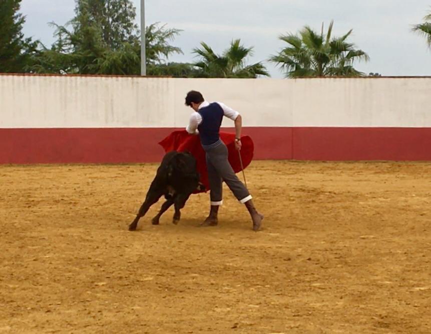11.12 Feria / Badajoz 
(2 de 2)
No hay mejor lugar que el campo para seguir creciendo interiormente.
Ayer, <a href="/DavidBolsico/">DAVID BOLSICO ®</a> disfrutó de un gran Tentadero en la ganadería de Guadajira.
Personalidad y regusto!...