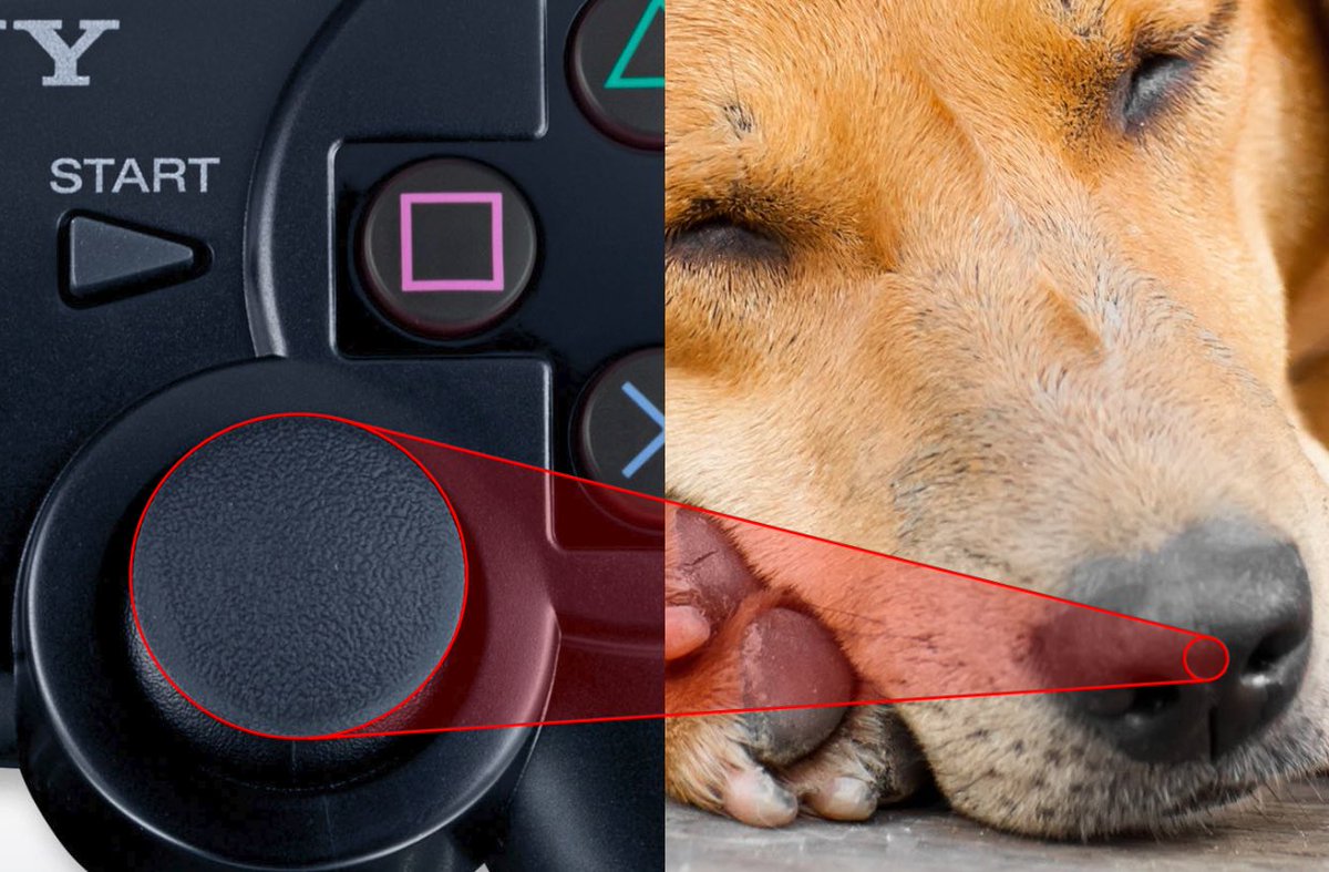 1980sgamer on Twitter: "Ever notice dualshock controllers are made from dog noses? Sony is an evil https://t.co/tvQgN92ZvK" / Twitter