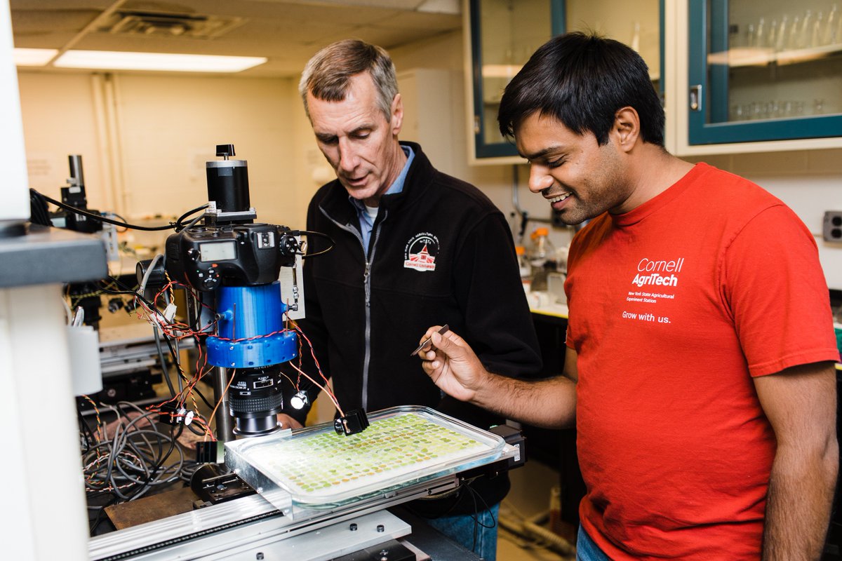 Cornell AgriTech tweet media