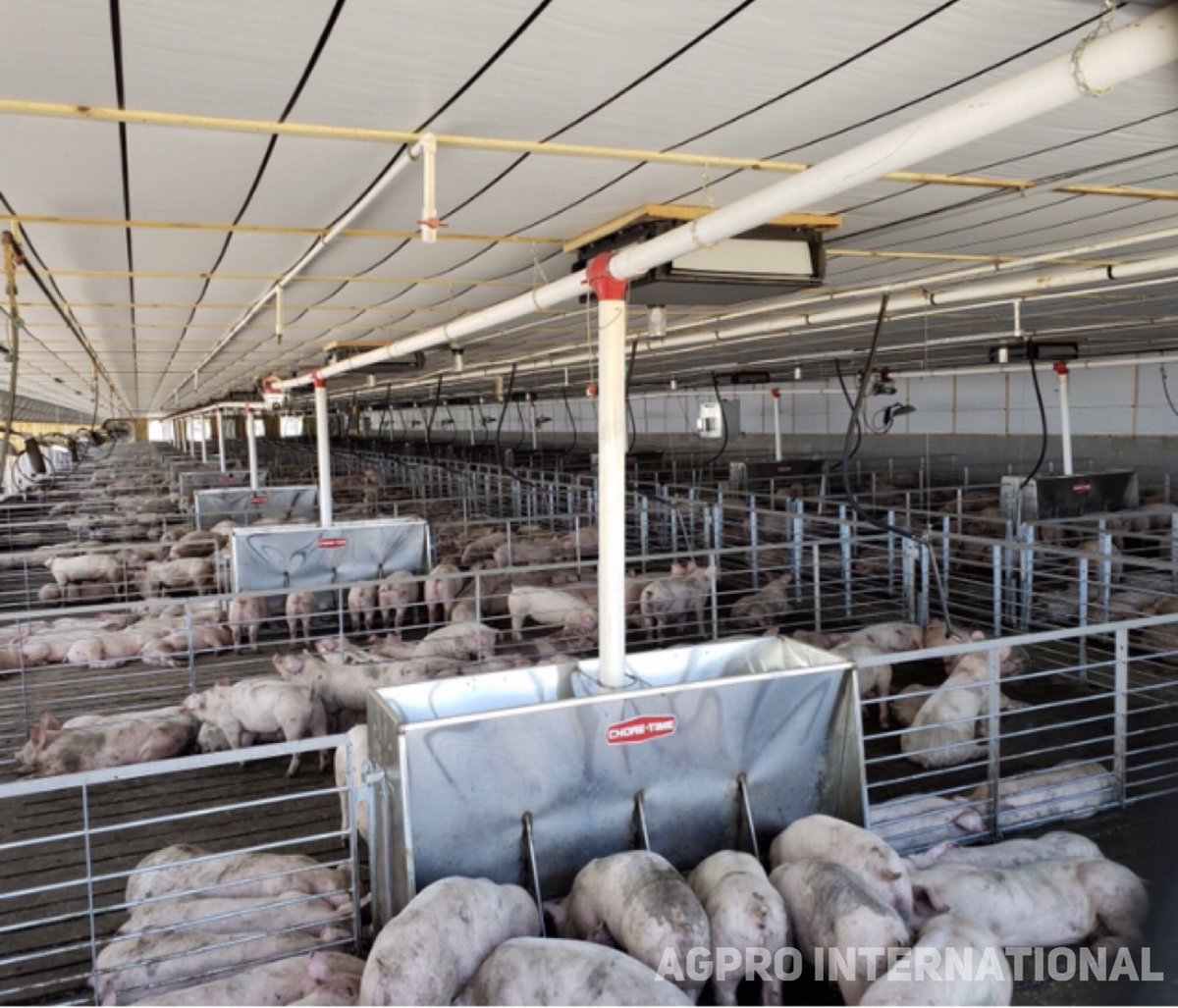 Agpro_Int's tweet image. Your chance of success has little to do with age. it is shaped by your willingness to try repeatedly for a breakthrough.

La probabilidad del éxito tiene poco que ver con la edad. Está moldeado por la voluntad de intentar repetidamente por obtener un gran avance.