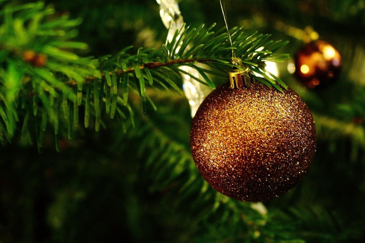 mollysden's tweet photo. Our #Winchester &amp; #Bournemouth dens are open until 9pm tomorrow for late night #Christmas #shopping! Come and support our raffle for the @wave105radio #CashForKids #WAVE1000FACES charity appeal! Oh and enjoy a FREE mince pie and glass of wine on arrival! See you soon! https://t.co/qzjD8M3XTm