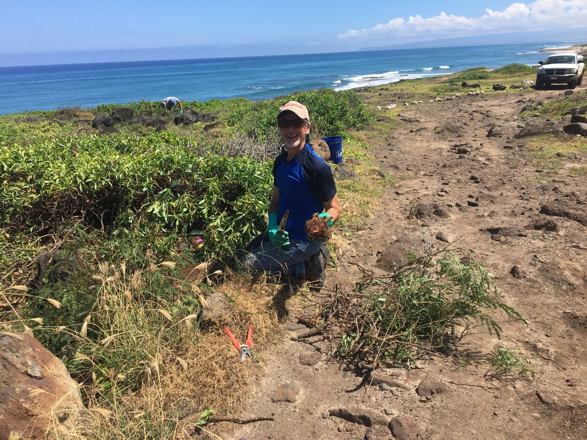 It's time to plant! This Saturday, December 15, join us in restoring native vegetation in the Mokulē‘ia Section of Ka‘ena Point State Park. https://www.facebook.com/HawaiiDLNR/photos/a.276310779076837/2332400743467820/?type=3&theater …