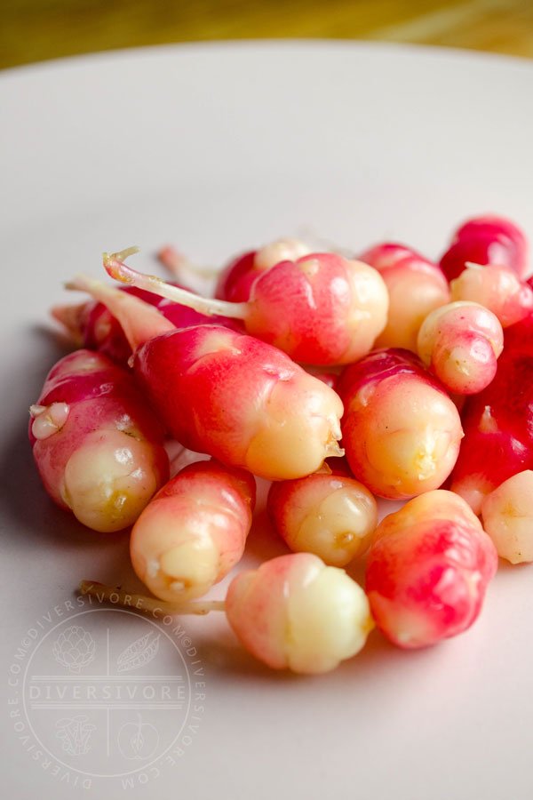 diversivore's tweet image. It's #whatsitwednesdayfood time around here, and I'm rolling on with root veggies this month.  Recognize this lovely pink little tuber?  They came out of my garden this very morning. #diversivore #rootveggies