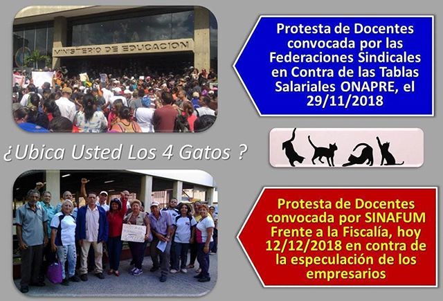 Docentes Contrato C. tweet media