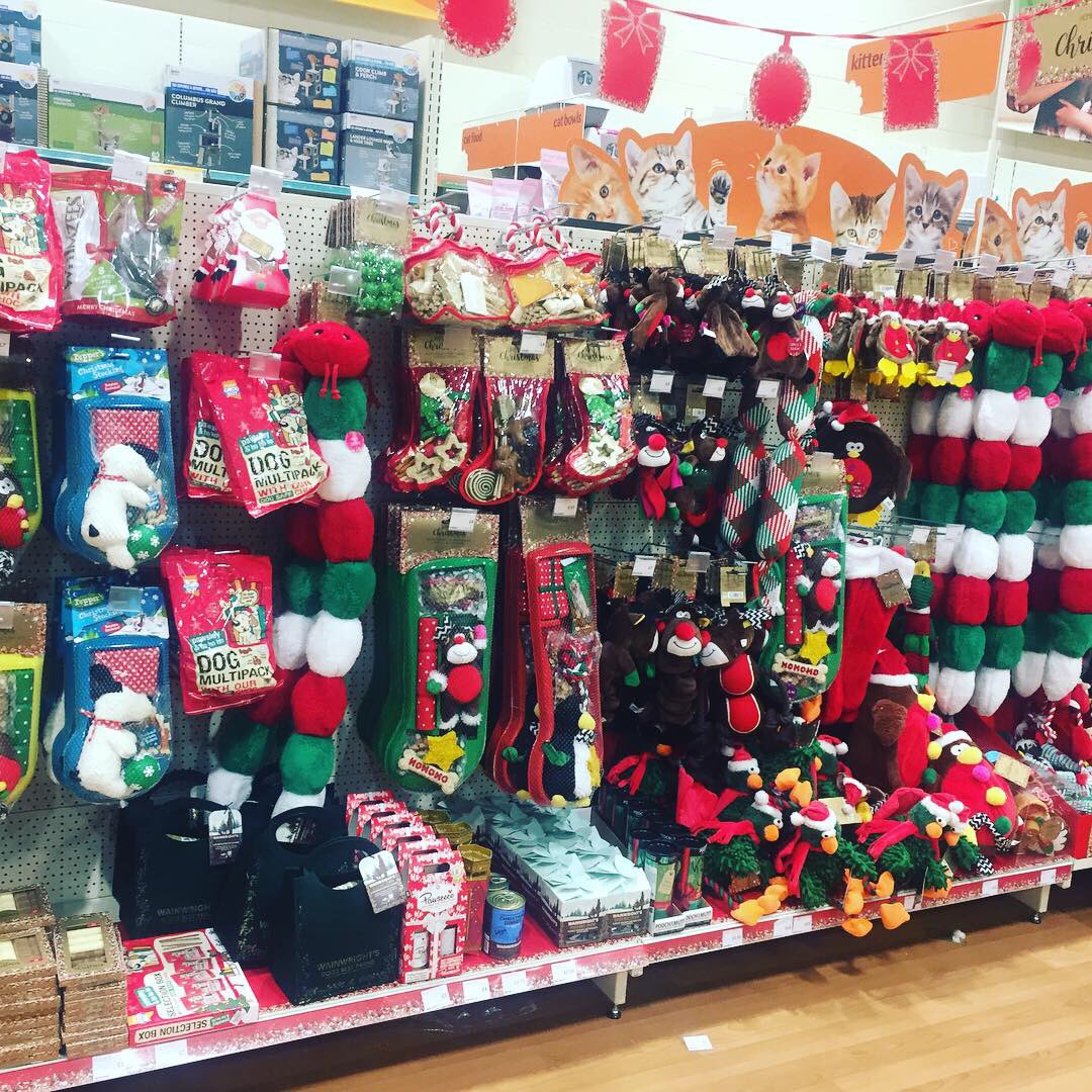 AtMalvern's tweet photo. We still have a wide range of Christmas Toys available for your cat, dog and small animals! 🐈 🐕 🐇 🐹 

Choose the perfect gifts for your animals this Christmas! 🎄 🎁 

#Christmas #Festive #PetsAtHomeMalvern https://t.co/IdUm2Xz1dq