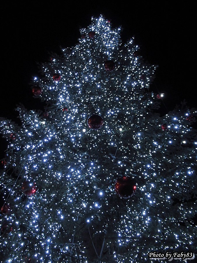 nfaby83's tweet photo. Impossibile non restarne incantata ☺️🎄

#Trento #PiazzaDuomo #Trentino #Natale #Natale2018 #NataleTrento #Christmas #ChristmasTree #Italia #Italy https://t.co/Y9JBUPkm22