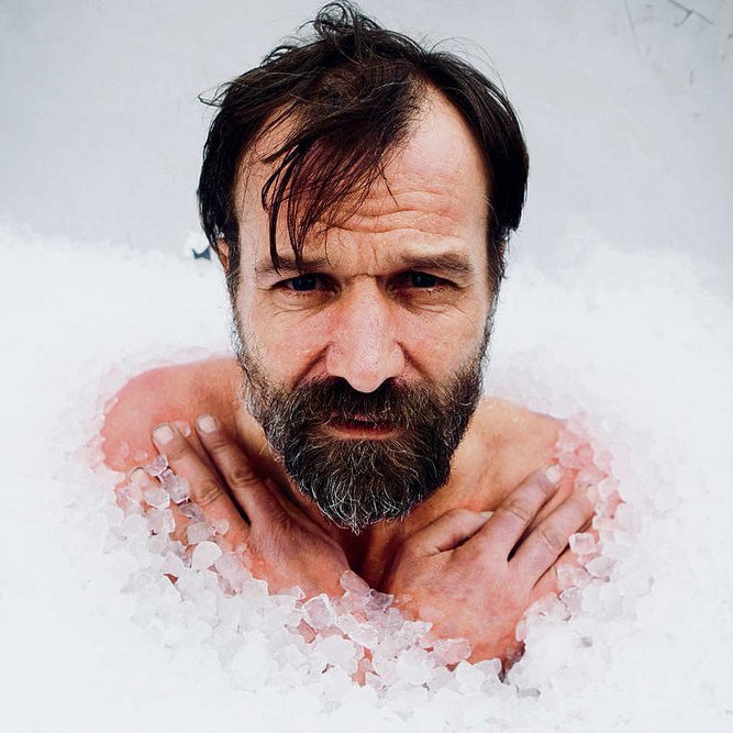Iceman_Hof's tweet photo. It is moments like this that one needs to face his fears. The best way to have such a moment is to gradually confront the fear and approach it in a way that is both exciting and inspiring. ❄️xX - Wim ❄️
.
.
.
#wimhofmethod #coldexposure #icebath #wimhof #worldrecord https://t.co/lFCoXaP9sB