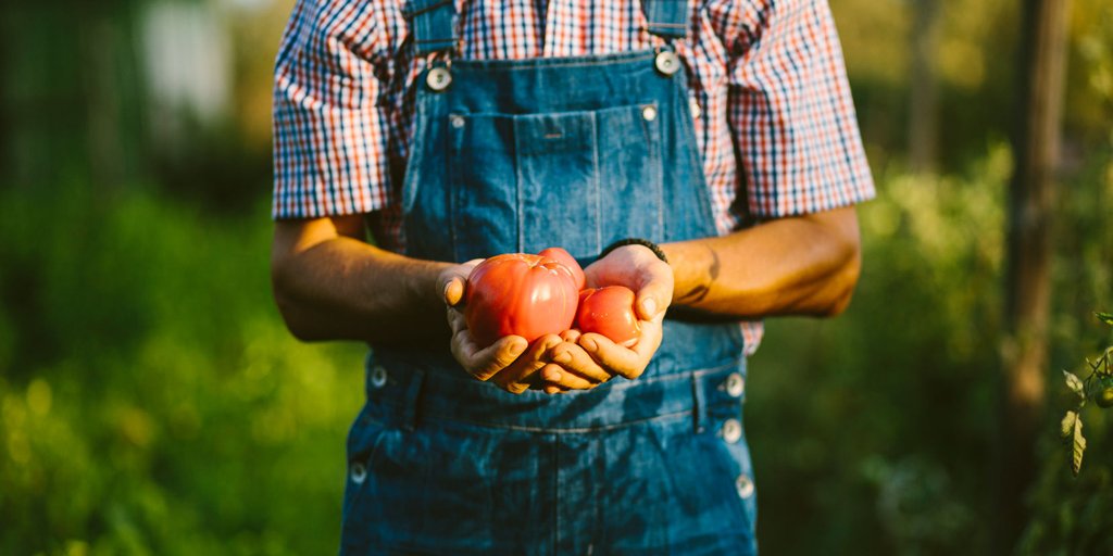 RefreshingReal's tweet photo. #DYK that there are real human beings who work hard to make sure the cans in your pantry are the highest quality possible? Here's a quick sneak peek of the people behind your canned tomatoes: https://t.co/gtDmizCWtu #FarmtoCan #RefreshinglyReal https://t.co/14Yo1fp9Yf