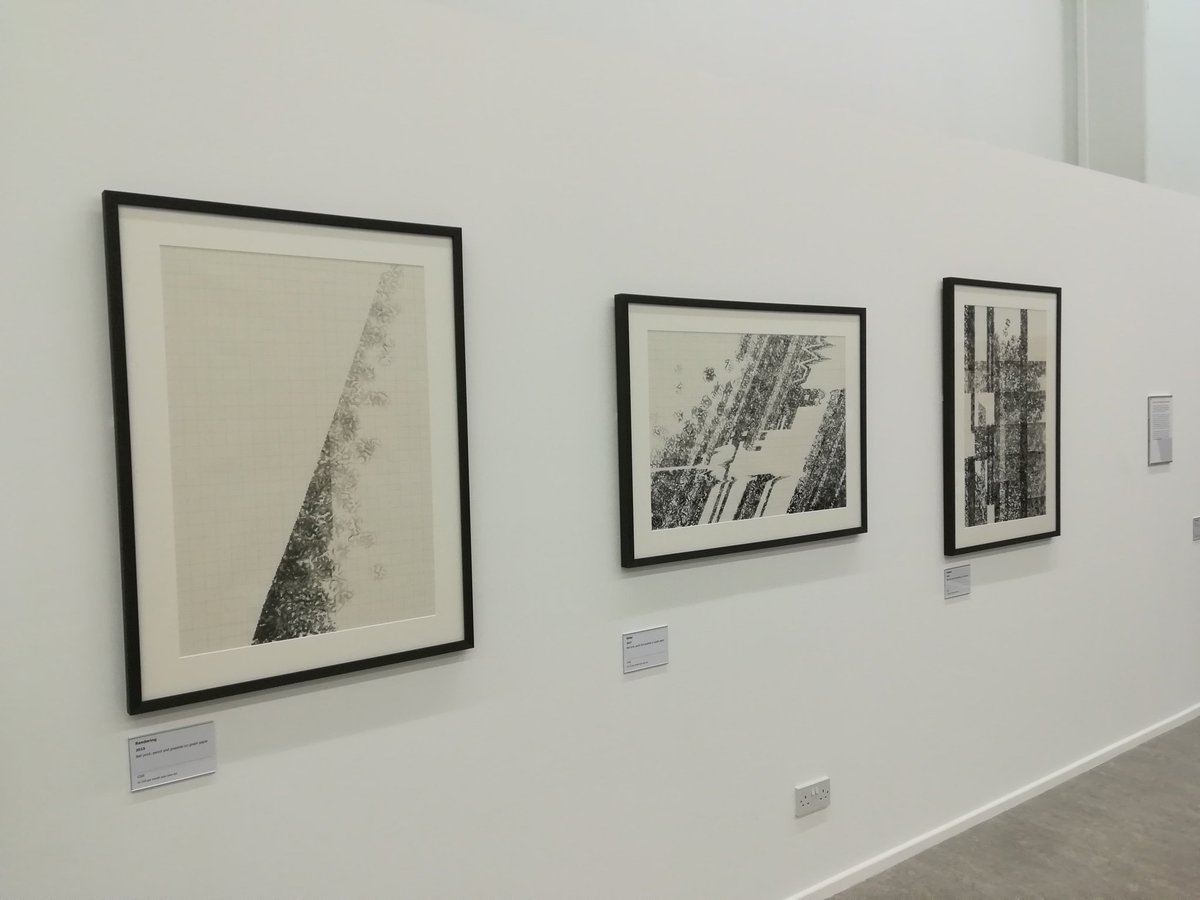 UoSArts's tweet image. Great to be at preview of #EmmaLloyd #BeyondtheLinear @SalfordMuseum  lovely install and intriguing works - like these mixed media prints
