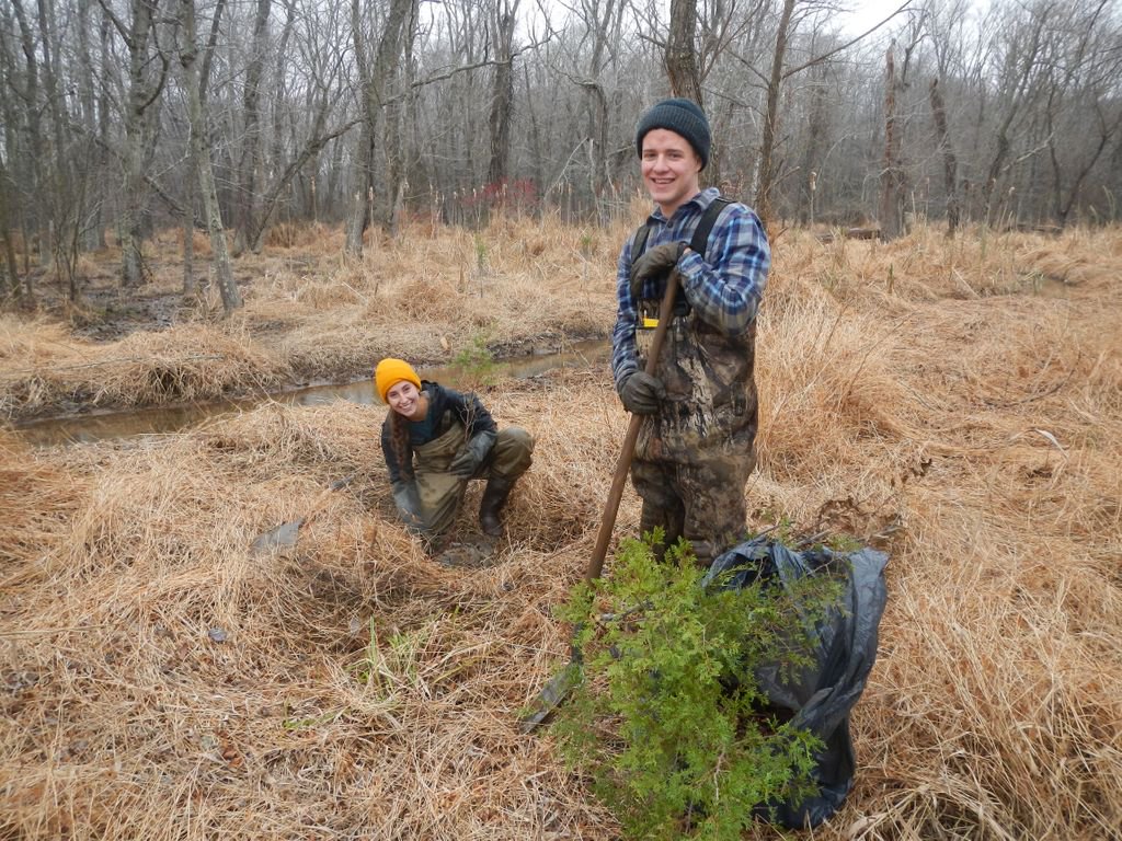 JugBayWetlandsSanct. tweet media