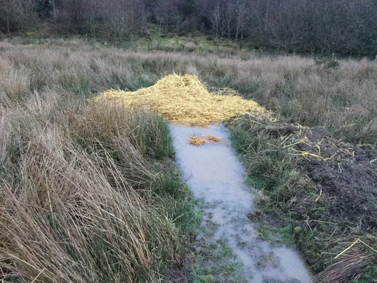 PeaceOnEarth222's tweet photo. Brecon &amp; Radnor Branch @CPRW_UK have served .@PowysCC with "a pre-action protocol letter, addressing the legalities of the Council’s position on enforcement" at #HendyWF. If effective enforcement action is not undertaken by Friday, proceedings will be issued forwith. @Real_BWEA https://t.co/P4W0QbgEOw