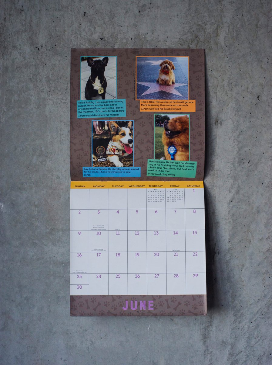 we rate dogs day to day calendar