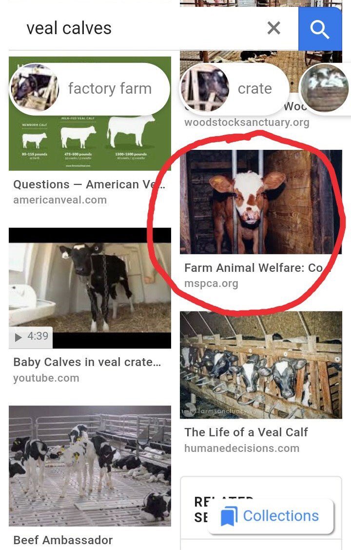 US border patrol and customs tweet media