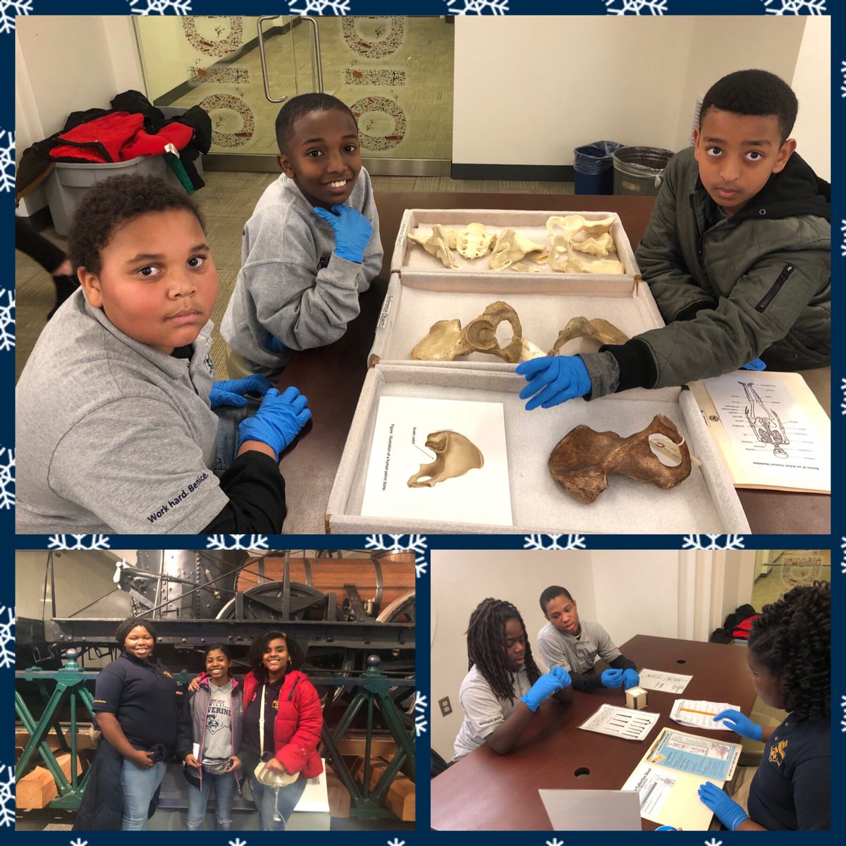 willwolverines's tweet photo. Our 7th Graders are busy exploring at the Natural History Museum! #kippdc #theworldisourclassroom https://t.co/ehbmW4YO1g