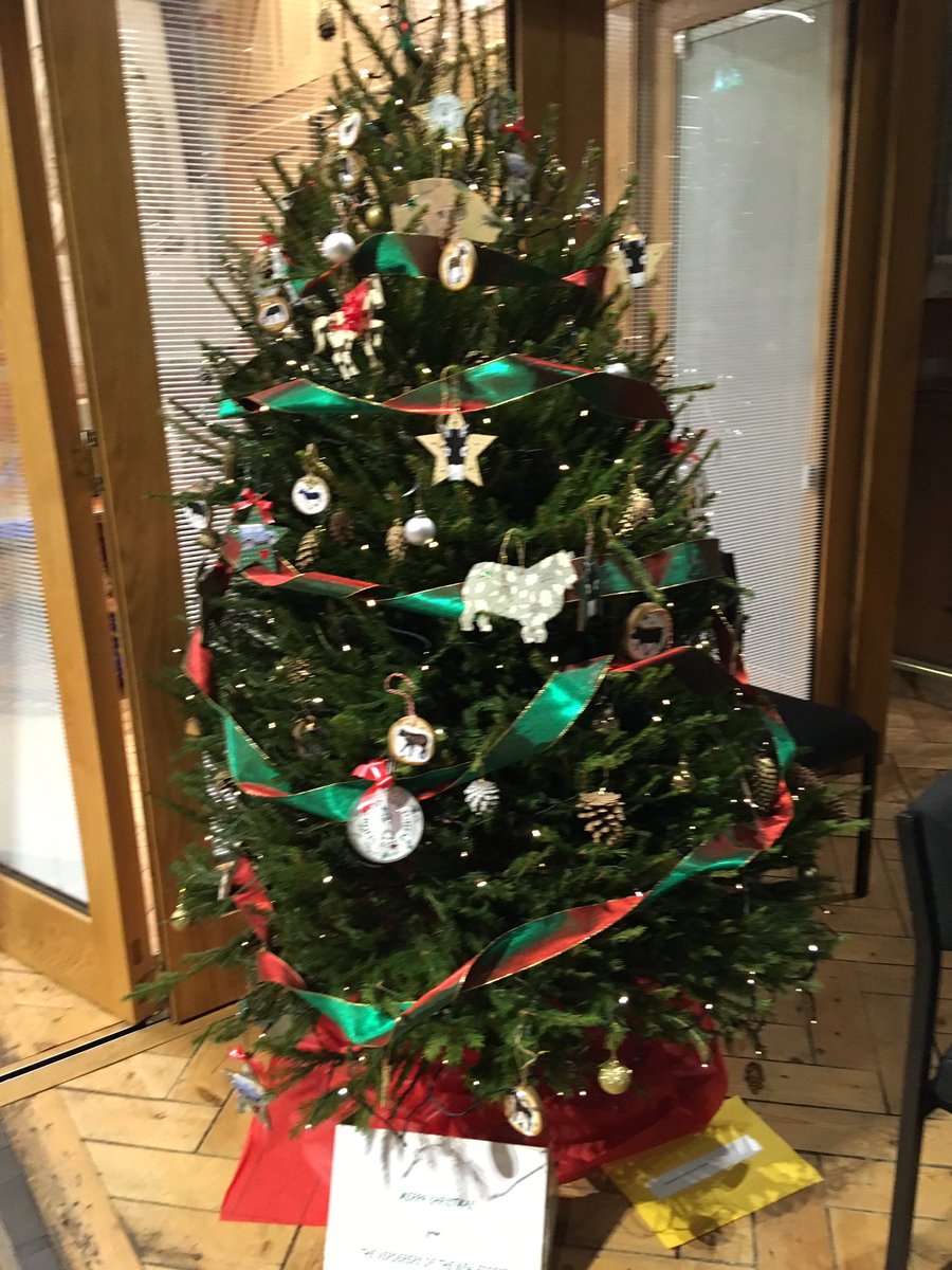 It’s beginning to look a lot like Christmas. Lyndhurst Christmas Tree Festival begins tomorrow. <a href="/lyndhursthighst/">Lyndhurst High St</a> <a href="/GoNewForestCard/">New Forest Card</a> <a href="/LymoTweetUp/">#LymoTweetUp 💚</a> Come and visit us. Open 11:00- 16:30 until Saturday <a href="/Forest_Commoner/">New Forest Commoner🌳</a>