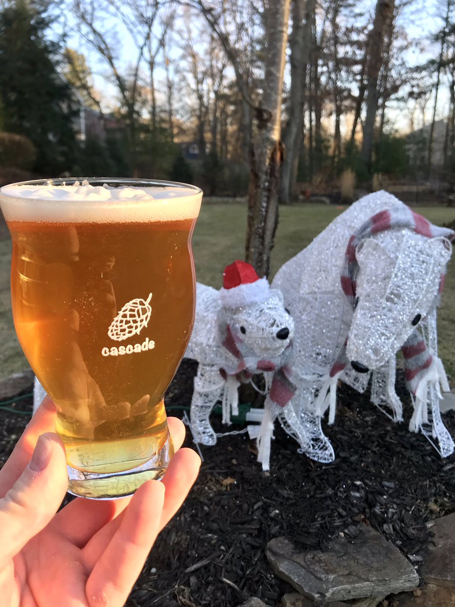 Lyonsdenbrew's tweet photo. Angels Cascade w/Citra.  Crisp clean ale with light tropical aroma and flavor, 6.3%.  Excellent brew to share with polar bears and friends! https://t.co/aBpfR5CTS9