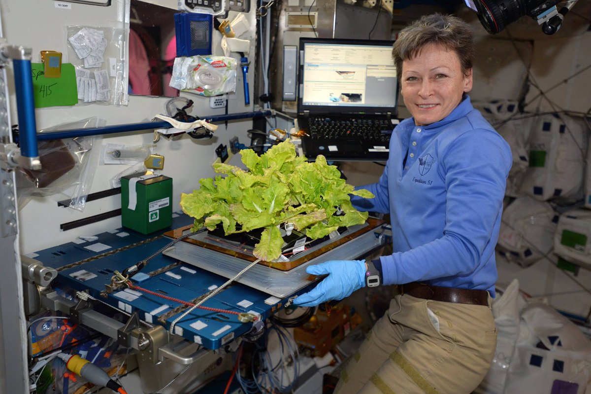 firstlegopr's tweet photo. #Astronauta de @NASA, @AstroPeggy , cosechando Repollo en el @Space_Station.
Como tu equipo #FLLPuertoRico puede mejorar o desarrollar un modelo de siembra en el espacio durante la temporada #INTOORBIT?
#SomosFLL #FIRSTLEGOLeague #STEMinist #FIRSTLaunch2019 #STEMeducation #NASA https://t.co/n1ehf5yIJB